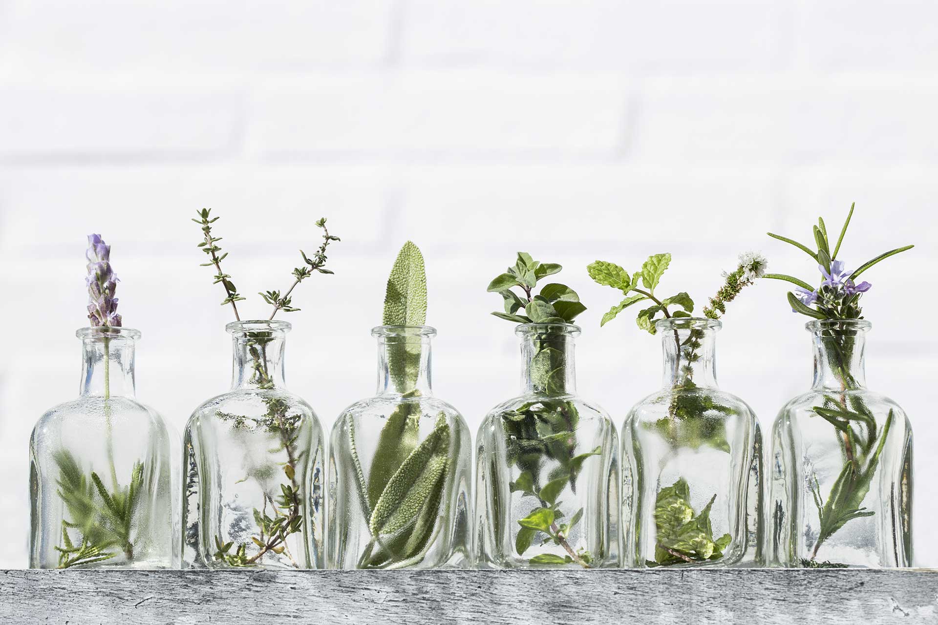 Herbs in glass jars
